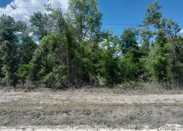 Property at tbd NE 63rd Pl, Williston, FL 32696