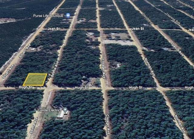 Property at Salem Ave, Interlachen, FL 32148