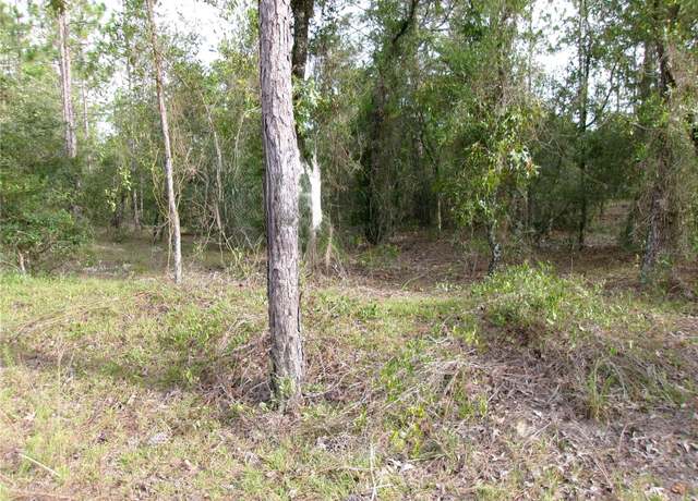 Property at Lot 8 SW Nautilus Blvd, Dunnellon, FL 34431