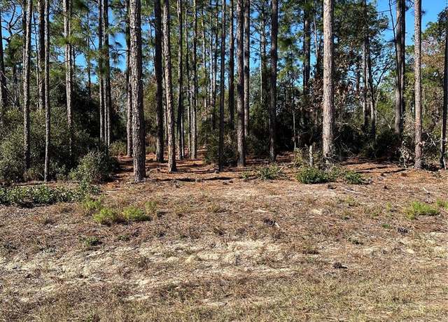 Property at Undisclosed address, Dunnellon, FL 34431