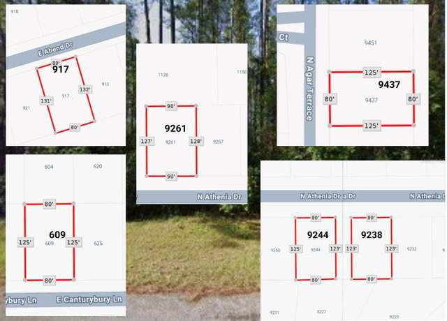 Property at 9238 N Athenia Dr, Citrus Springs, FL 34434