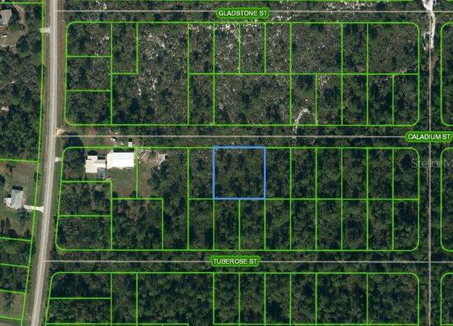 Property at 1411 Caladium St, Lake Placid, FL 33852