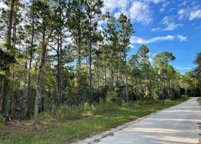 Property at 141st Ave, Morriston, FL 32668