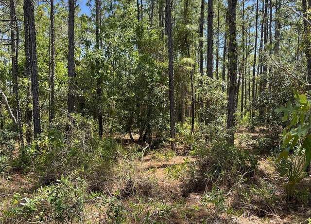 Property at 00 Pomp {lot7003} Pkwy, Weeki Wachee, FL 34614