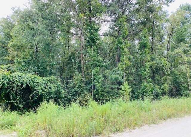 Property at 0 NE 756 St, Old Town, FL 32680