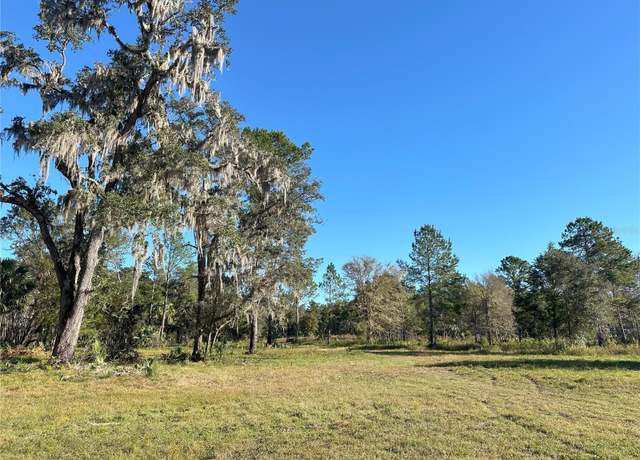 Property at 225ac NW 193rd St, Reddick, FL 32686