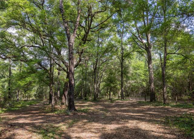 Property at 11630 NW 161st St, Alachua, FL 32615