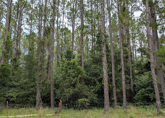 Property at TBD SE 3rd Pl, Gainesville, FL 32641