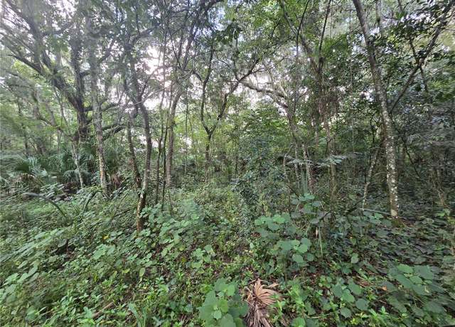 Property at 939 Estelle Ave, Brandon, FL 33511