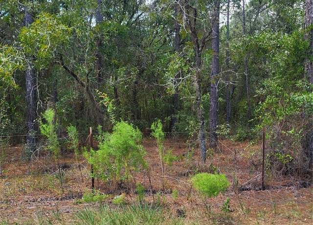 Property at SW 178th Ter, Dunnellon, FL 34432