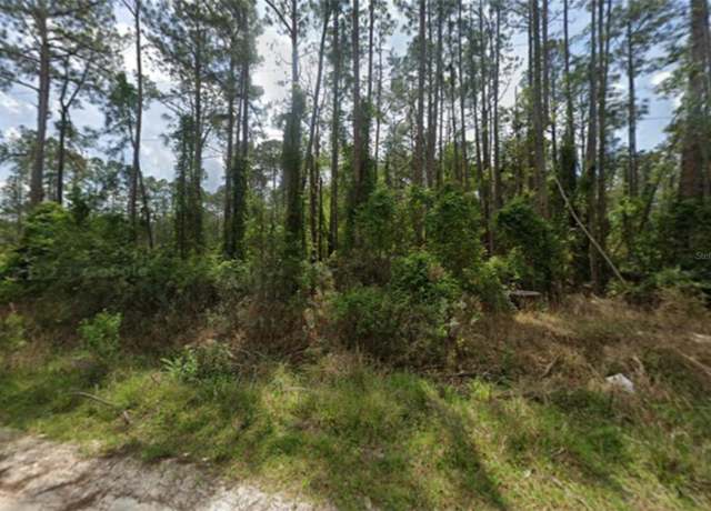 Property at 105 Pine Cone Dr, Georgetown, FL 32139
