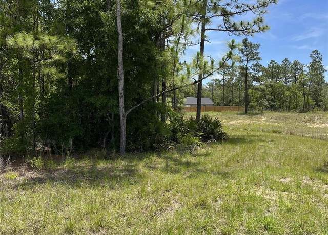 Property at 0 Celeste {lot6} Ave, Weeki Wachee, FL 34614
