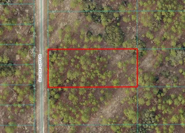 Property at TBD LOT 24 SW Little Cliffs Dr, Dunnellon, FL 34431