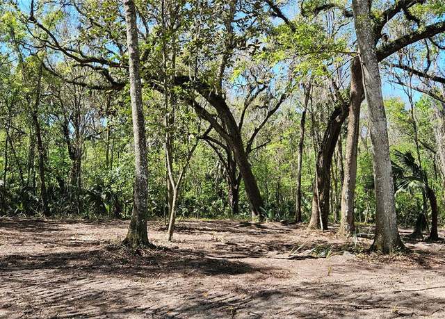 Property at 128ac NW 193rd St, Micanopy, FL 32667