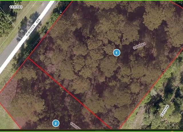 Property at Hibiscus Ave, Paisley, FL 32767