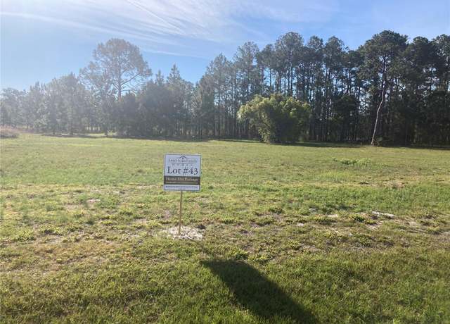 Property at 38518 Wooded Meadow Dr, Umatilla, FL 32784