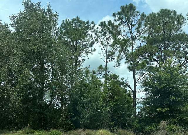 Property at Sr-535, Orlando, FL 32821