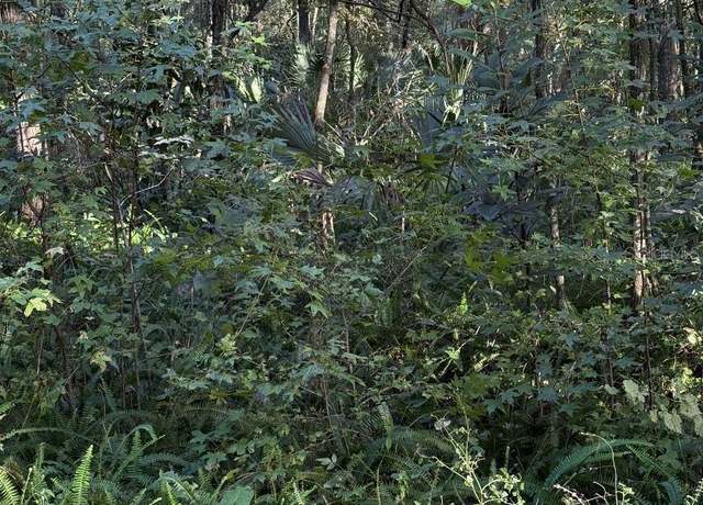 Property at SW 158th Ct, Ocala, FL 34481