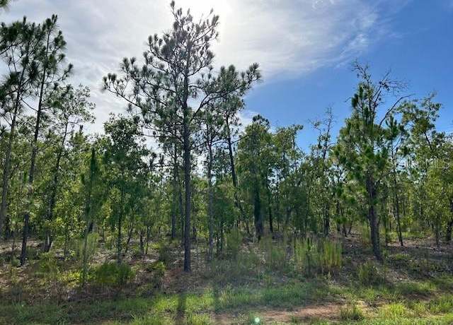 Property at 000 Doe Trl, Hawthorne, FL 32640