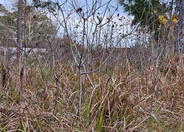 Property at TBD SE 104th Ter, Belleview, FL 34420