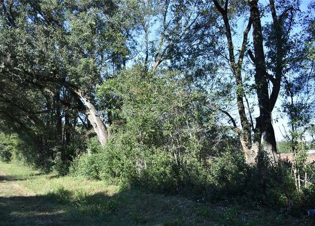 Property at 000 SW CR 241, Archer, FL 32618