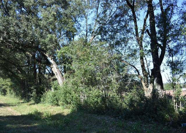 Property at 000 SW CR 241, Archer, FL 32618