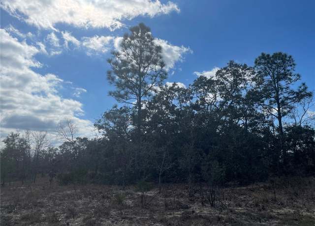 Property at 27 Freesia Ct, Homosassa, FL 34446