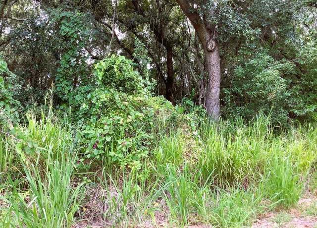 Property at Avalon Rd, Winter Garden, FL 34787