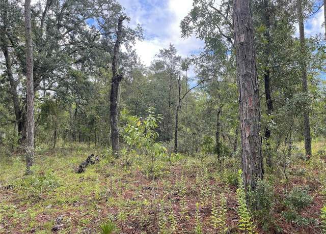 Property at 11851 SE 55th Ln, Morriston, FL 32668