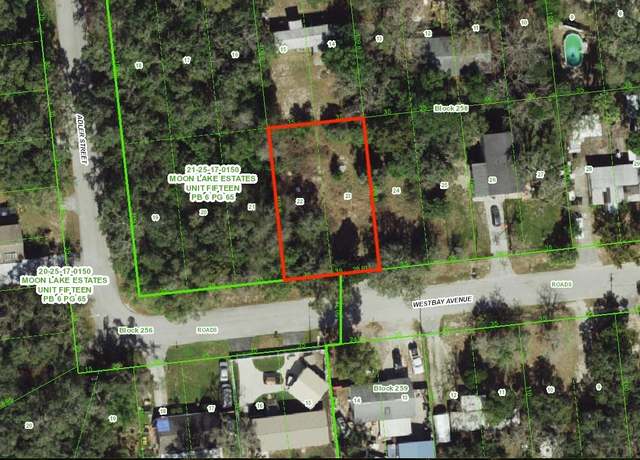 Property at 12015 Westbay Ave, New Port Richey, FL 34654