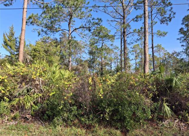 Property at 103 Wheatfield Dr, Palm Coast, FL 32164