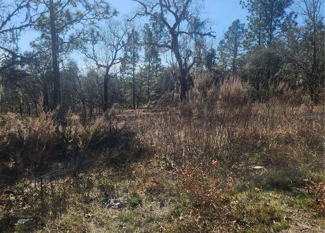 Property at 2848 W Buccaneer Ln, Citrus Springs, FL 34433