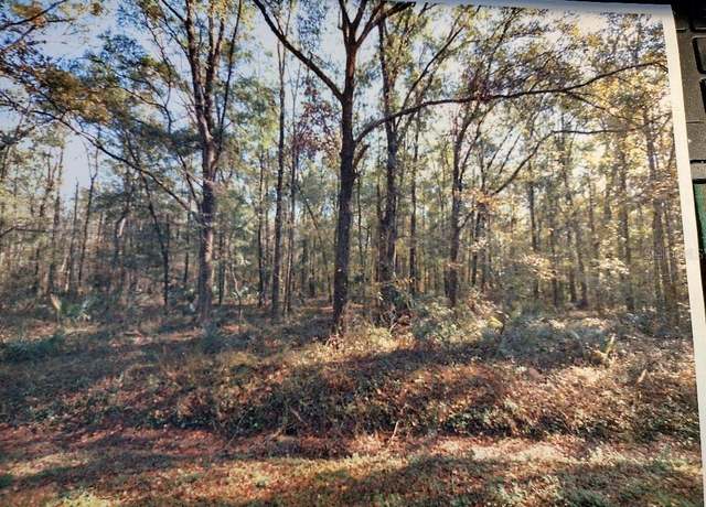 Property at 10040 Mcmahon Ave, Hastings, FL 32145