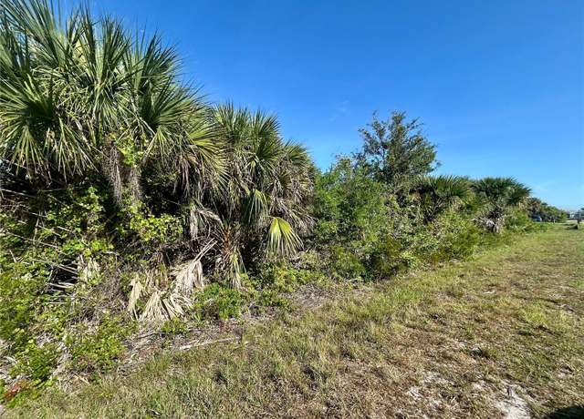 Property at 10039 Alvarez St, Port Charlotte, FL 33981