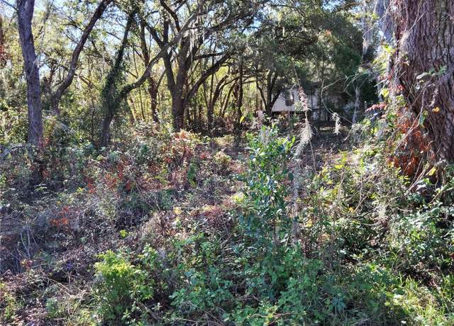 Property at 0 Tamer Ln, Dade City, FL 33523