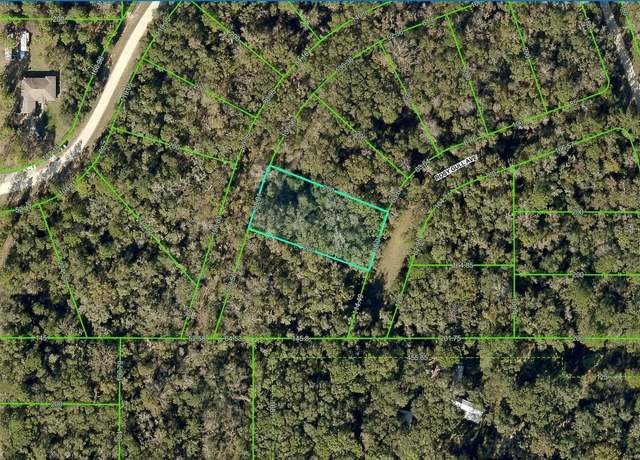 Property at 14195 Rosy Gull Ave, Brooksville, FL 34614