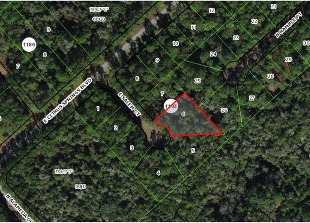 Property at 1127 E Salem Ct, Citrus Springs, FL 34433