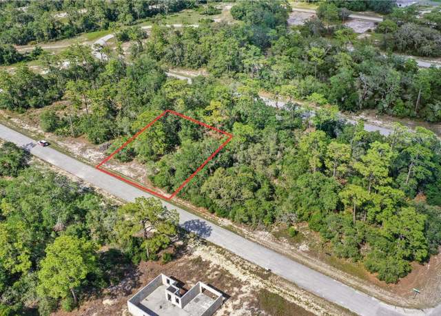 Property at 1309 Homosassa Ct, Kissimmee, FL 34759