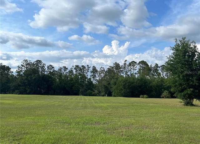 Property at 12940 Curley, San Antonio, FL 33576