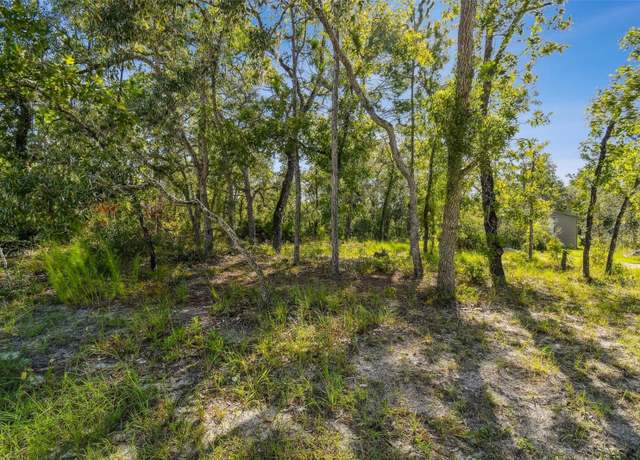 Property at 00 Maybird Ave, Weeki Wachee, FL 34613
