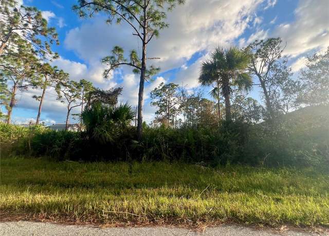 Property at 13041 Feldman Ave, Port Charlotte, FL 33981
