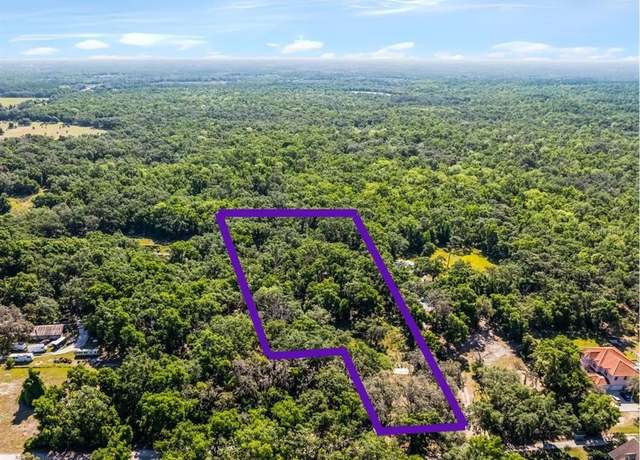 Property at 3633 Panther Path Rd, Lutz, FL 33559