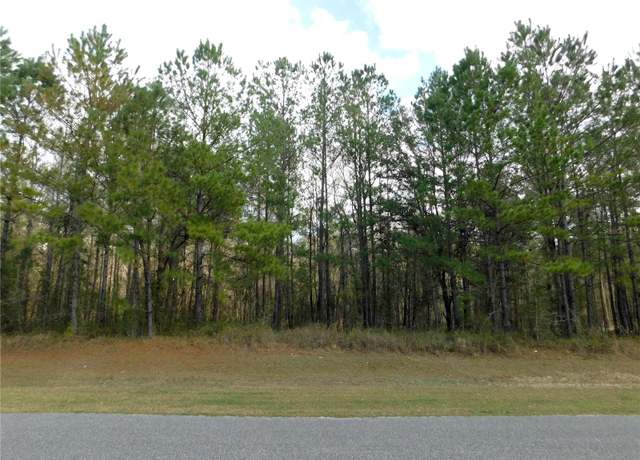 Property at Lot 4 NW 145 Ave, Williston, FL 32696
