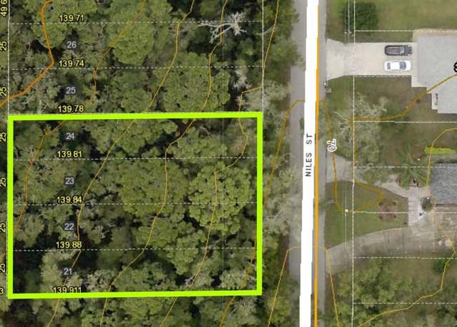 Property at 31625 Niles St, Sorrento, FL 32776