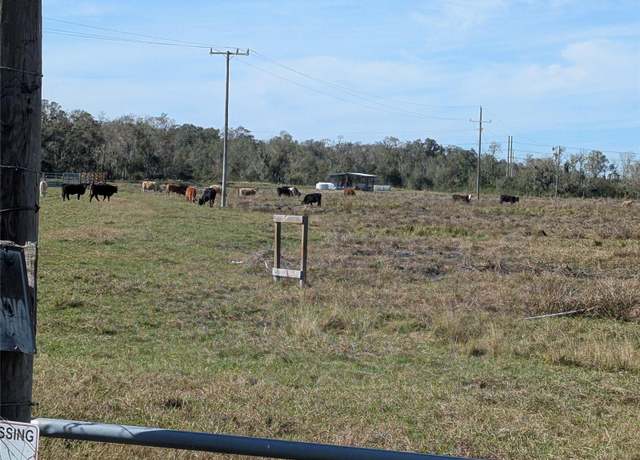 Property at 1291 NE Hansel Ave, Arcadia, FL 34266