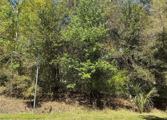 Property at 00 SE 139th Ln, Summerfield, FL 34491