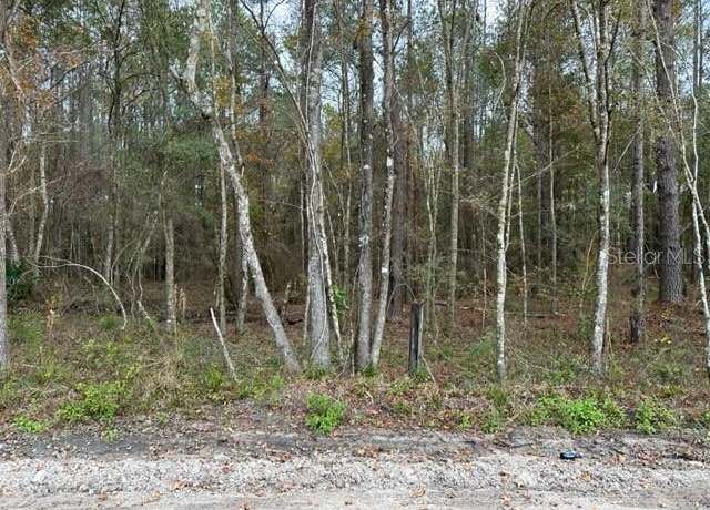 Property at 0 SE High Falls Rd, Lake City, FL 32025
