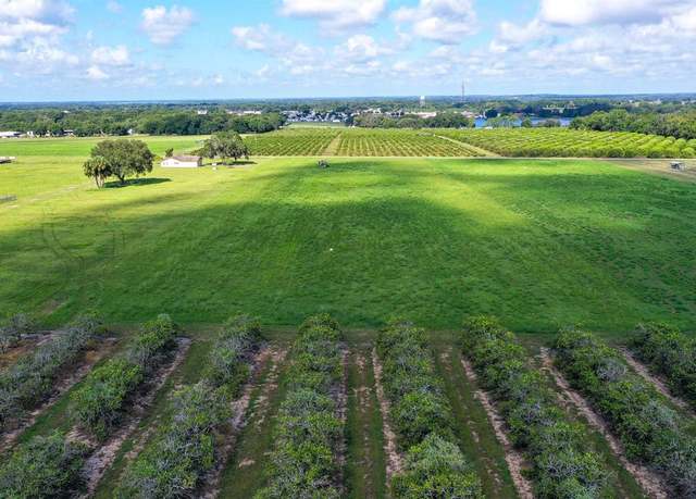 Property at 0 Charles Osborne Rd, Umatilla, FL 32784
