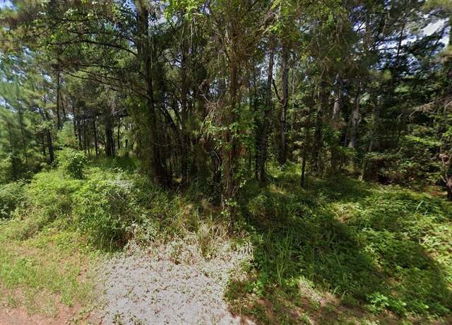 Property at Oak Lane Trak, Ocala, FL 34472