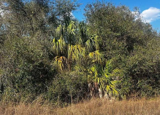 Property at 4195 E 29th St, Alva, FL 33920